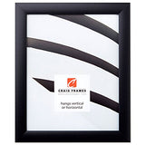 Craig Frames 1WB3BK 24 by 36-Inch Wall Decor Frame, Smooth Finish, 1-Inch Wide, Matte Black