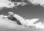 Mont Blanc mastiff : semi gloss